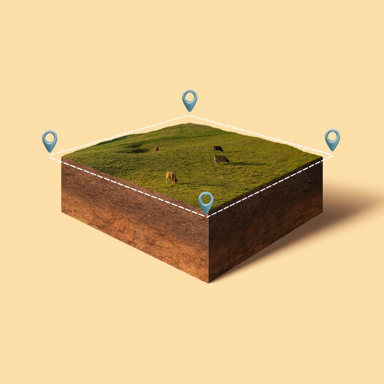 card-img